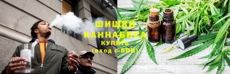 Конопля план  Каргат 